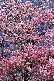 《漫威争锋》开发者讨论环境破坏：仅限部分区域